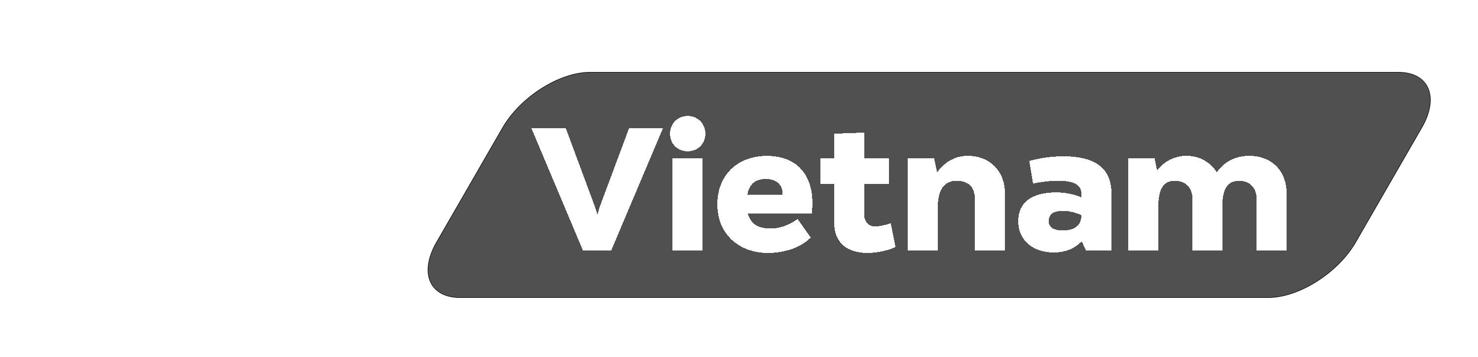 CRO Vietnam Logo